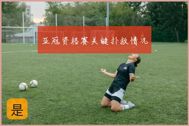 亚冠资格赛关键扑救情况