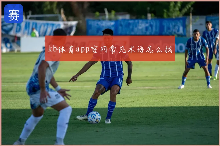 kb体育app官网常见术语怎么找